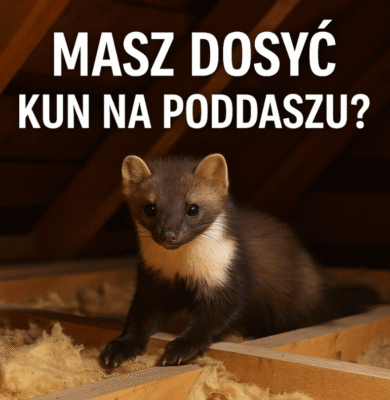 Pursolutions www kwadrat