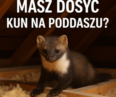 Pursolutions www kwadrat